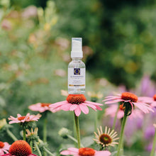 Charger l'image dans la galerie, QFirm Eye Complex/ Complexe Yeux